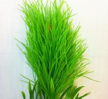 高清圖片中的農副產品之美