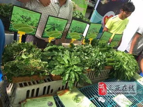 三亞市扶貧農產品展銷會 農副產品引圍觀，創意無限人潮涌動