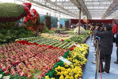 臺灣特色農產品首次亮相北京農業嘉年華