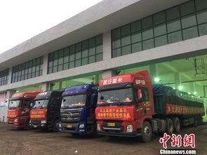 海口大型公益性農副產(chǎn)品批發(fā)市場啟動試運營，39家一級批發(fā)商入駐開啟惠民新篇章