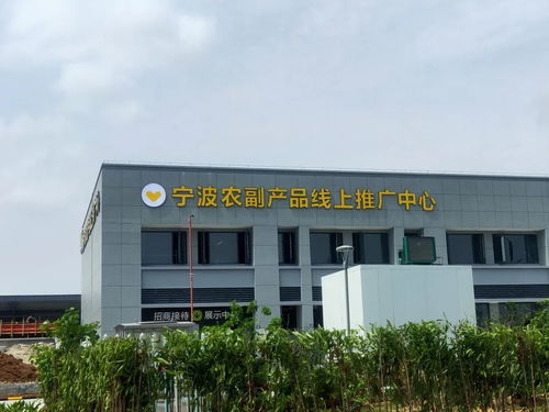 寧波農副產品物流中心一期試運營開啟 農產品流通新樞紐，便捷交通指南助您暢行